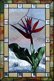 Bird of Paradise