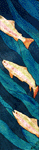 Jill Slocum trout
