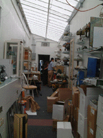 The store