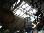 The store