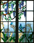 Student Donation Window