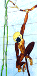 Bob's Monkey