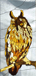 Bob's Owl