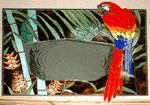 Parrot Mirror
