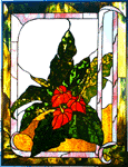 GPQ Antherium