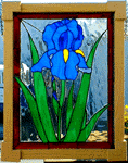 Victorian Iris