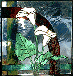 Cala Lillies