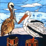 Perfect Pelicans