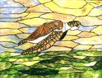 Sea Turtle