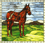 Thoroughbred