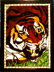 Hunting Tiger
