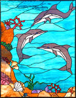 Dolphin Play