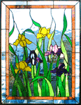 Mixed Irises