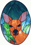 Doe