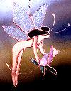 A Fairy