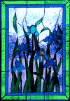 Irises