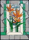Birds of Paradise