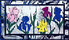 Irises