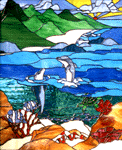 Dolphin Play