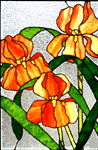 Pretty Flowers