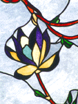 Magnolias Close Up
