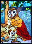 Two Owls